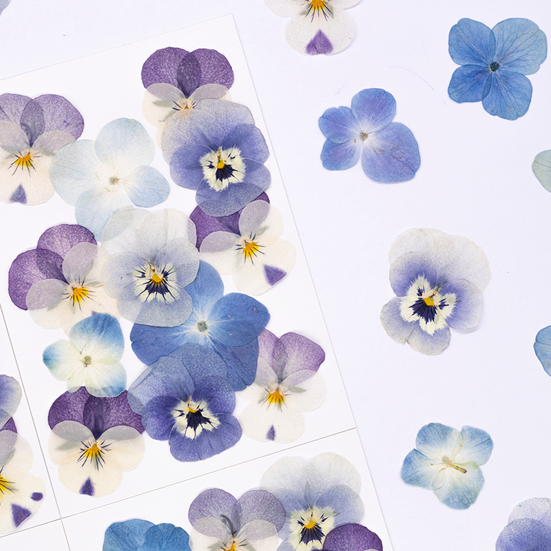12pcs,Real Viola Cornuta Press - Dried Flower Bookmark recension och pris