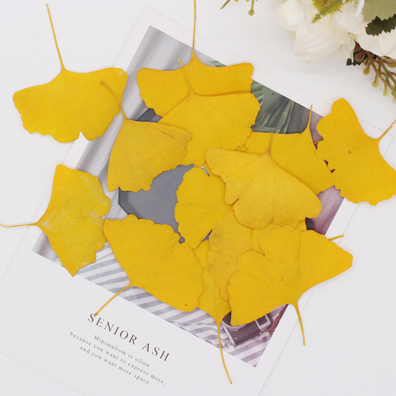 60pcs Pressed Dried Yellow/Gre - Dried Flower Bookmark recension och pris